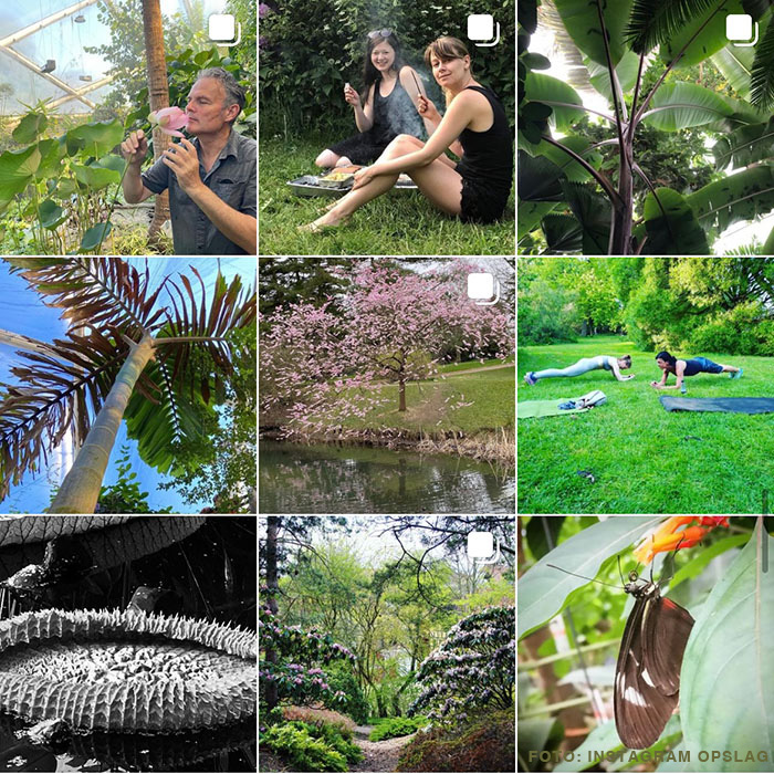 offentligt delte billeder på instagram fra Botanisk have