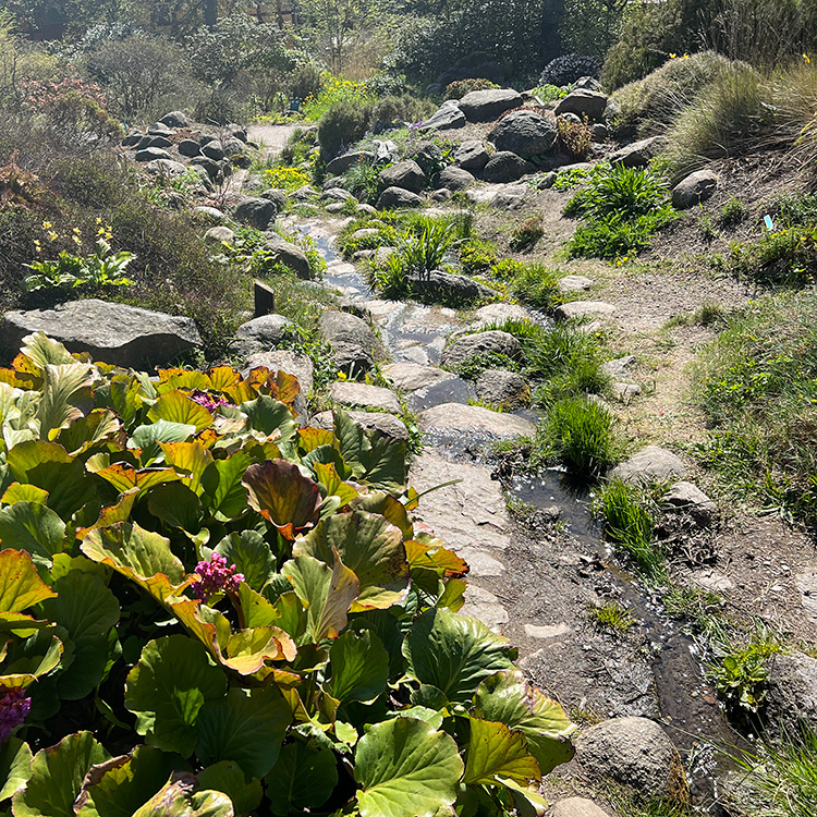 åen ved stenpartiet